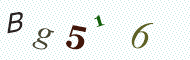 CAPTCHA code